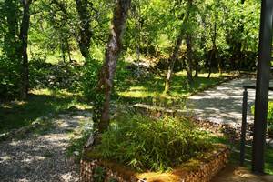 IMG_20230503_114235