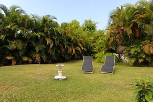 Les Jardins des Balisiers Gîte Balisiers Jardin Tropicale