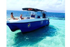 #nature #week-end #tourisme #destination #loisirs #vacances #vacancebaie-mahault #vacancepascher #vacanceavis #vacancereservation #meilleurvacancebaie-mahault #vacance2025 #baie-mahault #repas #aperitif #plongee #plage #masque #tuba #embarcation