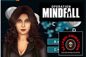 operation mindfall sur l'ile de ré