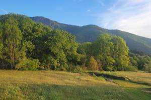 20260521_065527 (1)