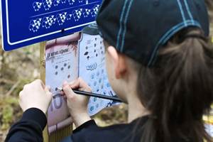 Jeu d'énigme inspiré d'une légende landaise