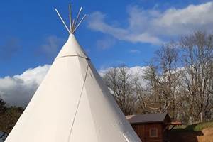 tipi
