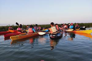 canoe kayak sur la seudre