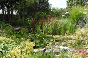 Jardin 6