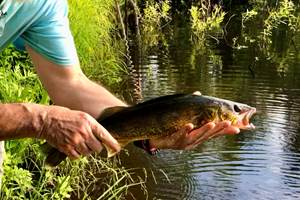 Pêche au Domaine le Bostonnais