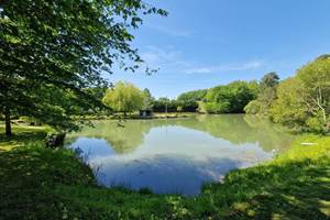 <img src="faune-flore-etang-hacienda-soubran.jpg"       alt="Faune et flore autour de l’étang du domaine L’Hacienda de Soubran"       title="Nature et biodiversité autour de l’étang de L’Hacienda de Soubran">