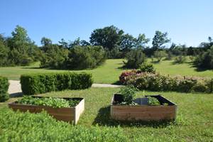 Potager