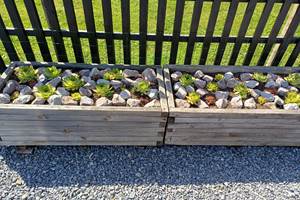 Un exemple de plantation décorative.