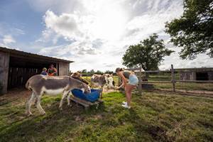 La_Prehouillere-CP-Pascal_BELTRAMI_-_Mayenne_Tourisme-10041-800px