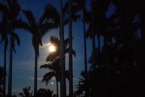 au clair de la lune...