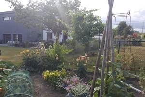 potager
