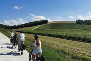 vigne-randonnée-bourgogne-vélo-balade-nature