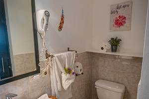 FUJIFILM X-T5_02_décembre_2025-64 50pp