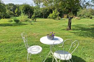 Cheve^che Jardin 1  20240907_151613