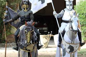 chevaliers fanatstiques 2018