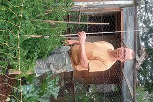 Hervé le maitre du potager