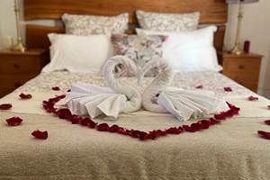 9155DEB2-3CAD-47A8-8350-4FACED1FD03D_1_105_c