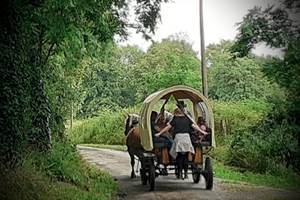 257211575_10220136999523325_7894761649279571091_n