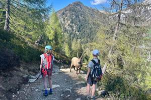Vallorcine - Réserves des Aiguilles Rouges, des rencontres inoubliable