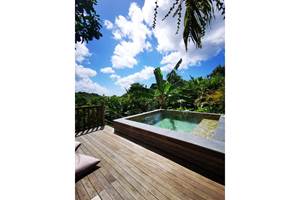 piscine-gite-vue-tropicale
