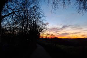 IMG-20241130-WA0006