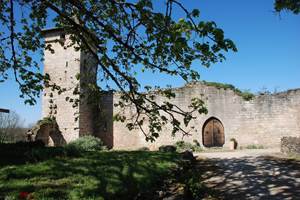 le-chateau-de-pervinquieres-exterieur