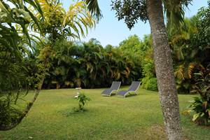 les jardins des balisiers  (6)