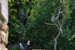 Terrasse de Marigoule