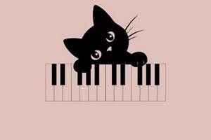 Frank Perret concert privé la maison qui ronronne maison d'hôte chambre d'hôte Ried-sur-Bélon Pont Aven Finistere Sud Bretagne