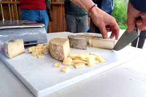 visite degustation terroir produits fromages brebis 2