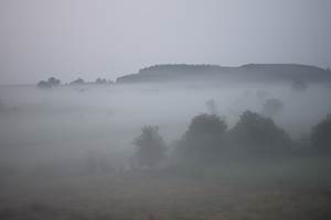 Brouillard automnal