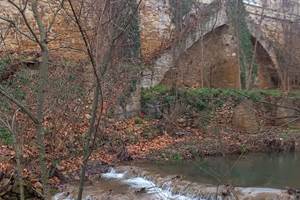IMG-20250211-WA0003