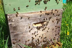Pays Basque, Pyrénées, Soule, Kakouetta, La Verna, Sainte Engrâce, la Pierre St Martin
