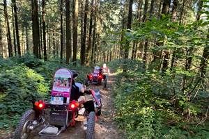 swincar en foret bis ferme des délices foréziens