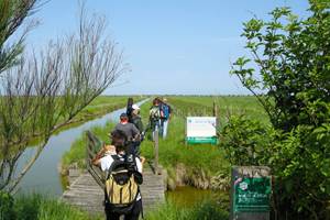 réserve naturelle moeze oléron