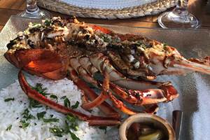 langouste