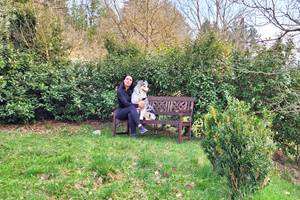 Le jardin, les chiens sont bienvenus