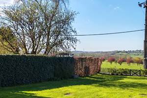 Jardin 2 (1)