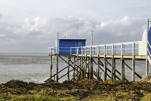 Carrelet de pêche