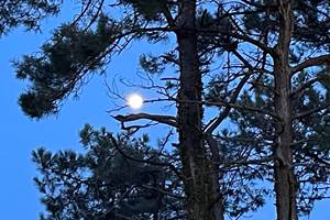 Pleine lune sentier cotier