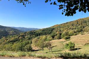 Gite-de-groupe-alsace-vosges-chalet-chambre-ete-champs