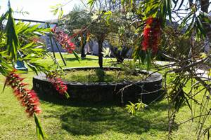 jardin 5