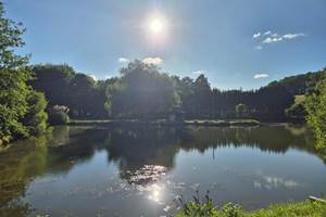 <img src="parc-hacienda-soubran.jpg"       alt="Parc arboré de 4 hectares de L’Hacienda de Soubran"       title="Parc et étang de L’Hacienda de Soubran, Charente-Maritime">