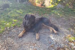 Le Gardien des lieux