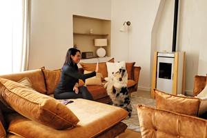 Le salon et le poele, les chiens sont bienvenus