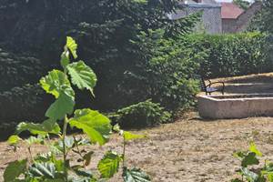 Le Quai d'Neuf — Gîte de groupe en Creuse (15 personnes) - vue jardin