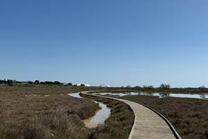 Sentier de la Marette à Aigues-Mortes