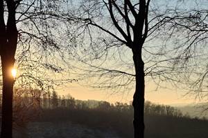 IMG-20241203-WA0013