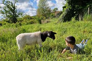 Gîte champêtre avec vue dégagée sur la campagne de Touraine, calme et authenticité au rendez-vous